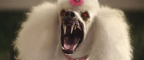 Demon Poodle From Goosebumps 2015 Imdb This Just Rocks