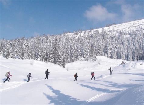 Visiter Le Vercors En Ski De Fond En Famille Les P Tits Covoyageurs
