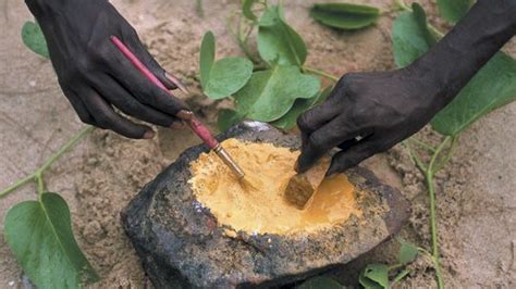 Making Ochre By Hand For A Traditional Aboriginal Painting Gove