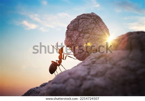 Worker Ant Pushing Heavy Boulder On Stock Illustration