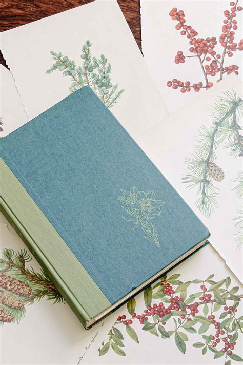 Decorating with Watercolor Botanical Prints and Vintage Books - Caitlin ...