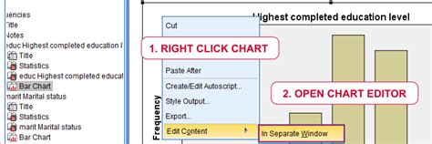 How To Export Spss Graph To Excel Kellum Exclout