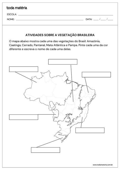 Atividade Sobre Vegetação 4 Ano - Atividades sobre a vegetação brasileira para 4º ano (para imprimir ...