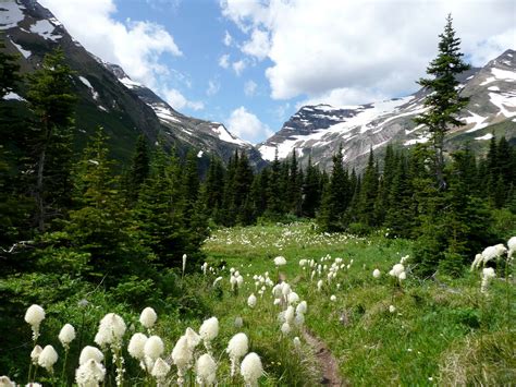 4k Glacier National Park Rocky Mountains Lake Sherburn Montana