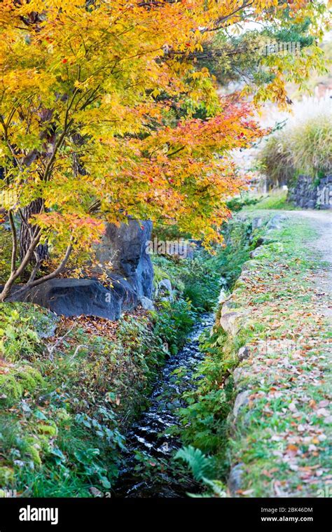 Beautiful fall scene in Japan Stock Photo - Alamy