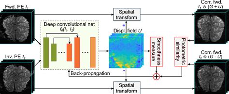 Table 1 From An Unsupervised Deep Learning Technique For Susceptibility