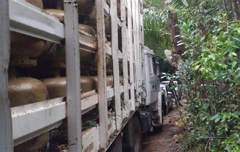 Policiais Recuperam Carga De Botij O De G S Roubado Em Areia Branca