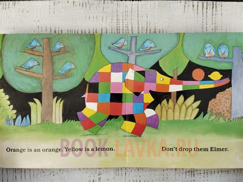 Elmer's Colours – купить в интернет-магазине Booklavka (Буклавка)