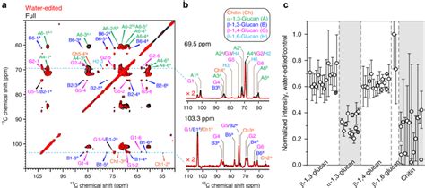 Chitin and α 1 3 glucans form the hydrophobic core of A fumigatus cell