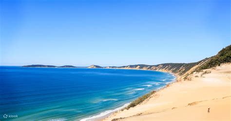 Noosa Dolphin View Kayak Tour Great Beach Drive Adventure Boat Tour