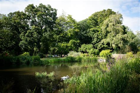 Mill Pond – The Old Mill, Bulford