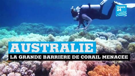 Australie La Grande Barrière De Corail En Danger Youtube