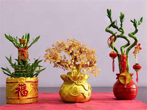 Your Guide To Auspicious Chinese New Year Flowers And Fruits