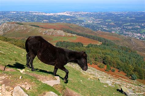 Randonn E La Rhune M Les Topos Pyr N Es Par Mariano