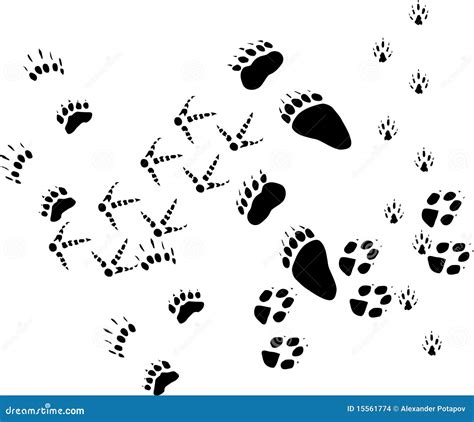 Animal tracks on white stock vector. Illustration of prints - 15561774