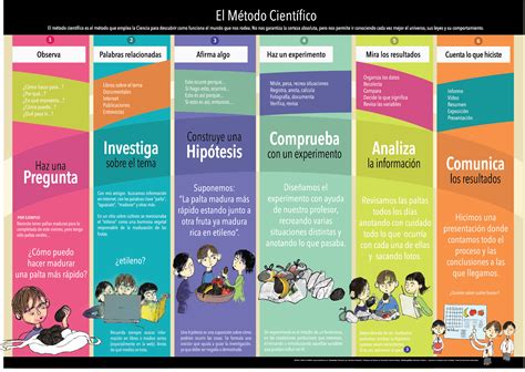 Esquema Del Método Científico ¡fotos And Guía 2024