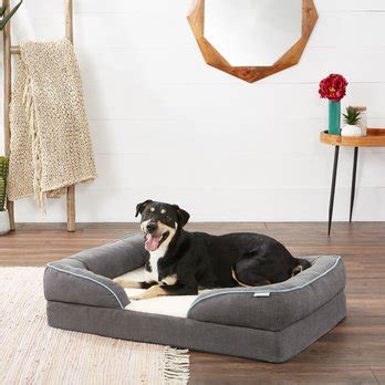 Best Dog Orthopedic Beds: Flat or Bolstered (Free Shipping) | Chewy