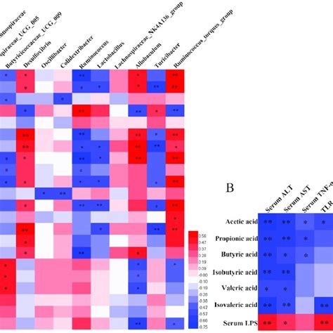 Correlation Analysis A The Heat Map Shows The Spearman Correlation