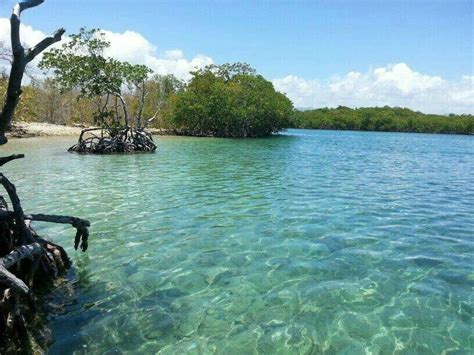 Isla Tres Palmas Guayama PR | Puerto rico pictures, Puerto rico beaches, Guayama