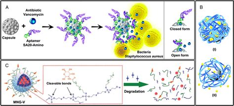 Schematic Representations Of Different Nanocarriers Used For The