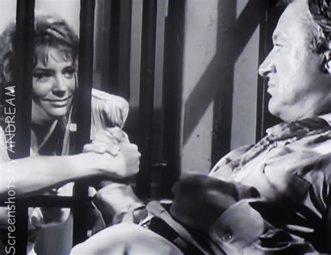 The secret marriage of lois nettleton that surprised all of Hollywood 28