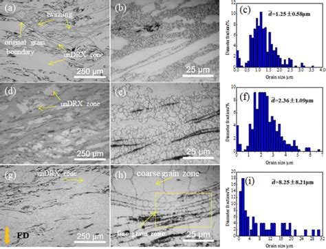 Microstructure And Tensile Strength Of Nano TiCp MgZnCa Magnesium