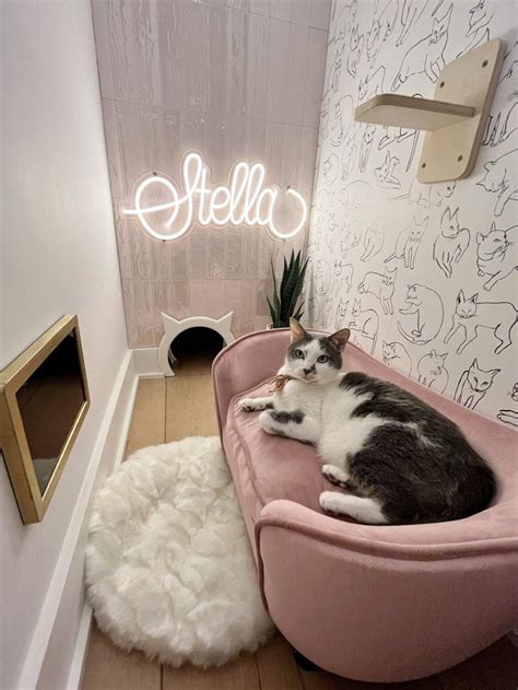 Creating A Cat Bedroom With Furniture And Decor Cat Room Cat