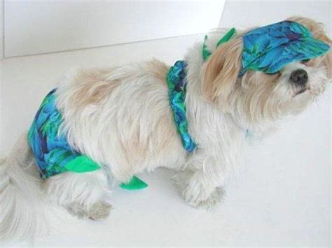 Bikini Giyince Hepimizden Daha G Zel G R Nen Sevimli Hayvan