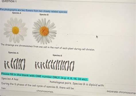 Solved The photographs are two flowers from two closely | Chegg.com 