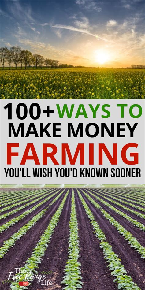 100 Ways To Make Money Farming That Are Perfect For 2023 Farm