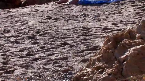 Amateur Fuck Date On The Beach Anal Fuck British Porn XHamster