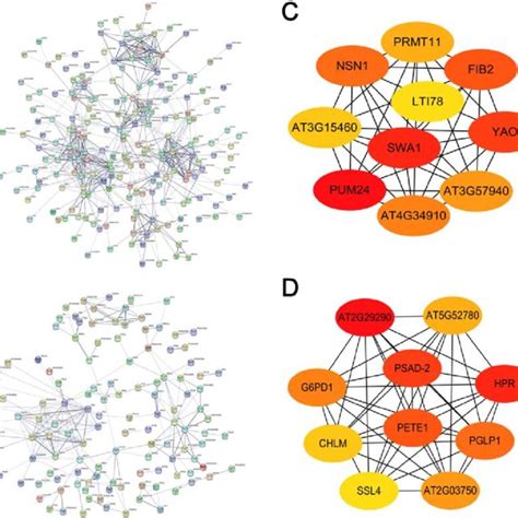 Ppi Networks Of Degs Under Cold Stress And The Interaction Network Of