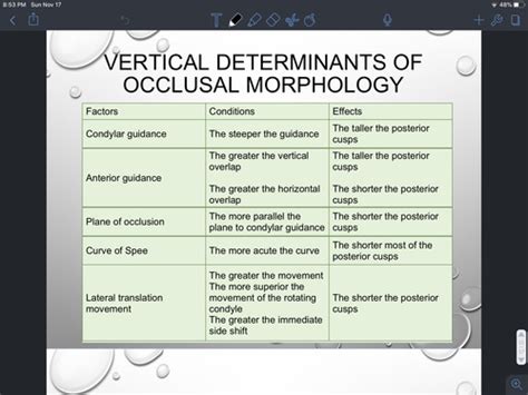 Dental Anatomy Exam 3 Material Determinants Of Occlusal Morphology