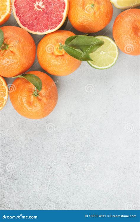 Citrus Fruits Mandarin Grapefruit Lime Tangerine Lemon Stock Image