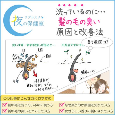 髪の臭いの原因は？頭皮汚れを洗い流すケア 夜の保健室