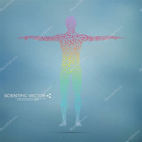 Estructura De La Mol Cula Del Hombre Modelo Abstracto De Adn Del