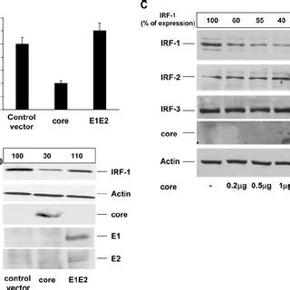 Tetracycline Regulated Expression Of Hcv Structural Proteins Represses