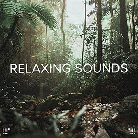 Relaxing Sounds Deep Sleep Sleep Sound Library