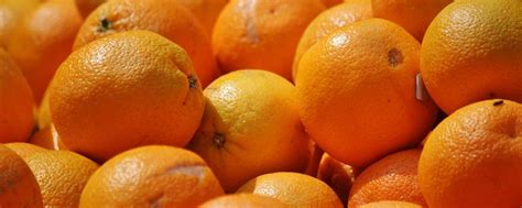 APPELSIENEN per 500gr – Bio billens