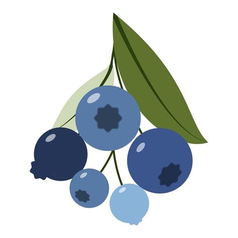 Premium Vector Blueberry With Leaves Sprigs Of Forest Blueberries