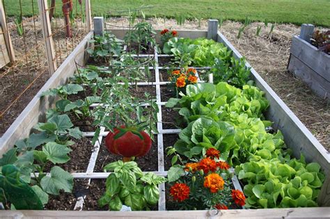 22 Community Garden Layout Examples Ideas Worth to Check | SharonSable