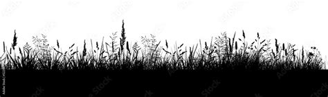 Black Grass Silhouette Vector Illustration Stock Vector Adobe Stock