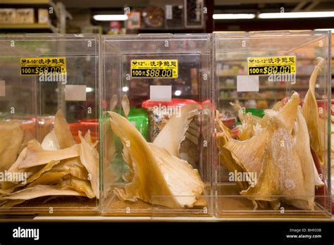 Dried Shark Fins In Store For Sale Chinatown Singapore Stock Photo