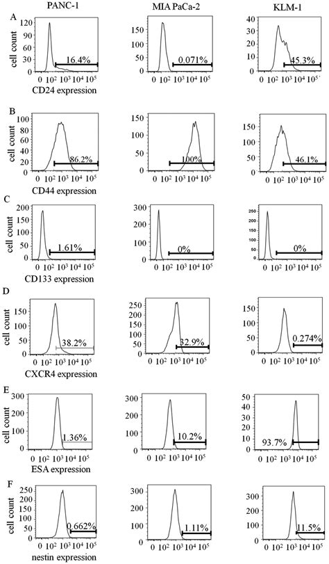 Expression Of Cancer Stem Cell Markers In Pancreatic Intraepithelial