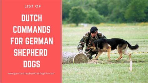 Dutch Training Commands For German Shepherd and Other Similar Dogs ...