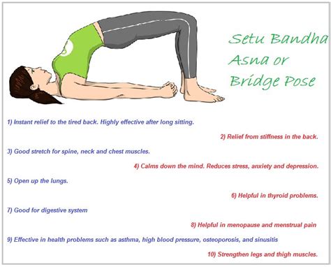 Share More Than 159 Benefits Of Bridge Pose Yoga Latest