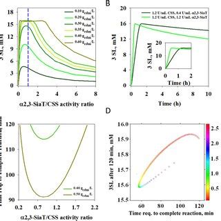 Kinetic Simulations Of Whole Cell Catalyzed Production Of 3SL The 3SL