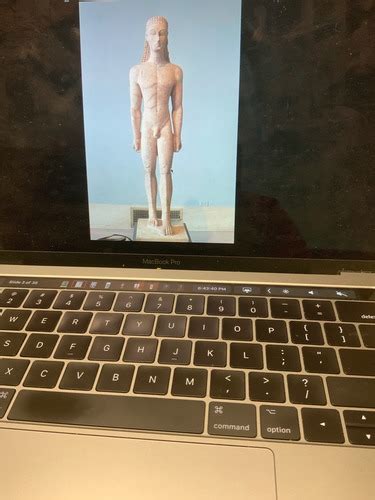 Naked Dudes Flashcards Quizlet