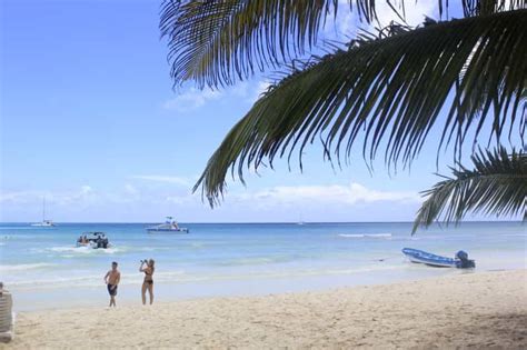 Punta Cana Viagem Para Ilha Saona Tudo Inclu Do Getyourguide