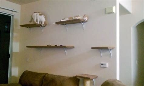 How we made our DIY wall-mounted cat tree • Offbeat Home & Life